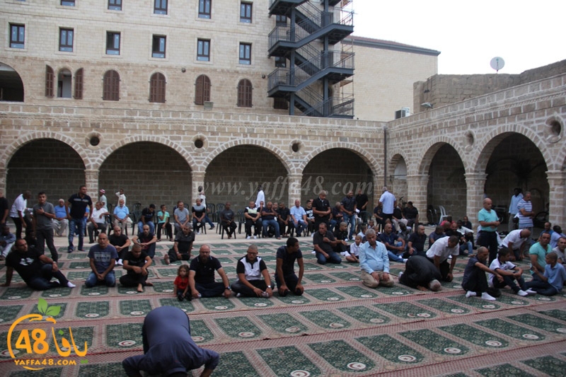 3ed ad7a mahmoudaia (7).JPG